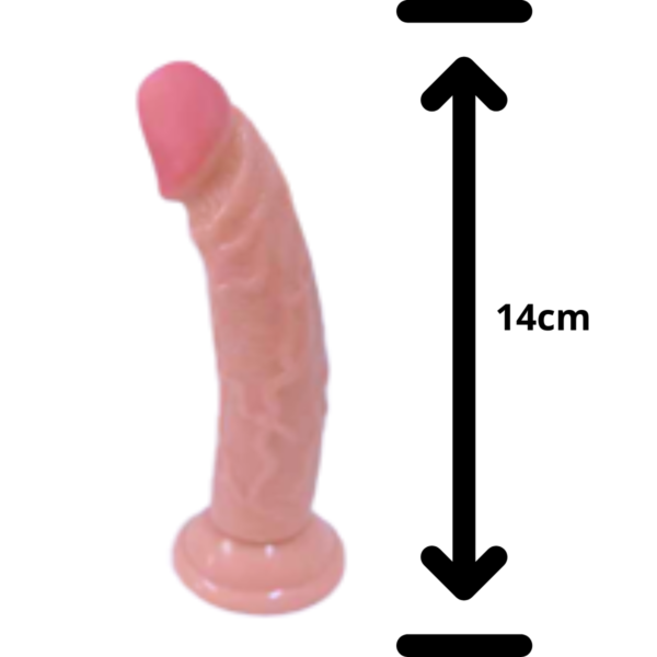 YQM 051La Danna 1