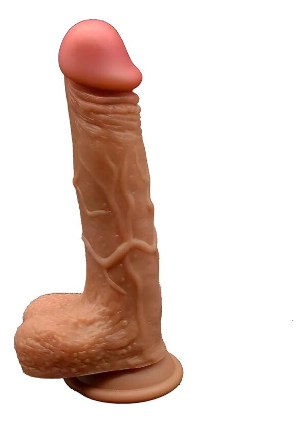 nepe 2