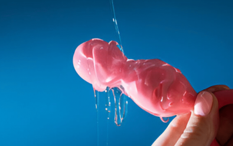 Aceites y lubricantes