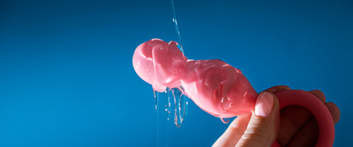 Aceites y lubricantes